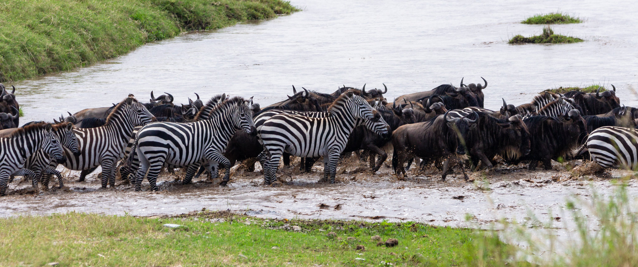 5-Day Great Wildebeest Migration Tanzania Safari