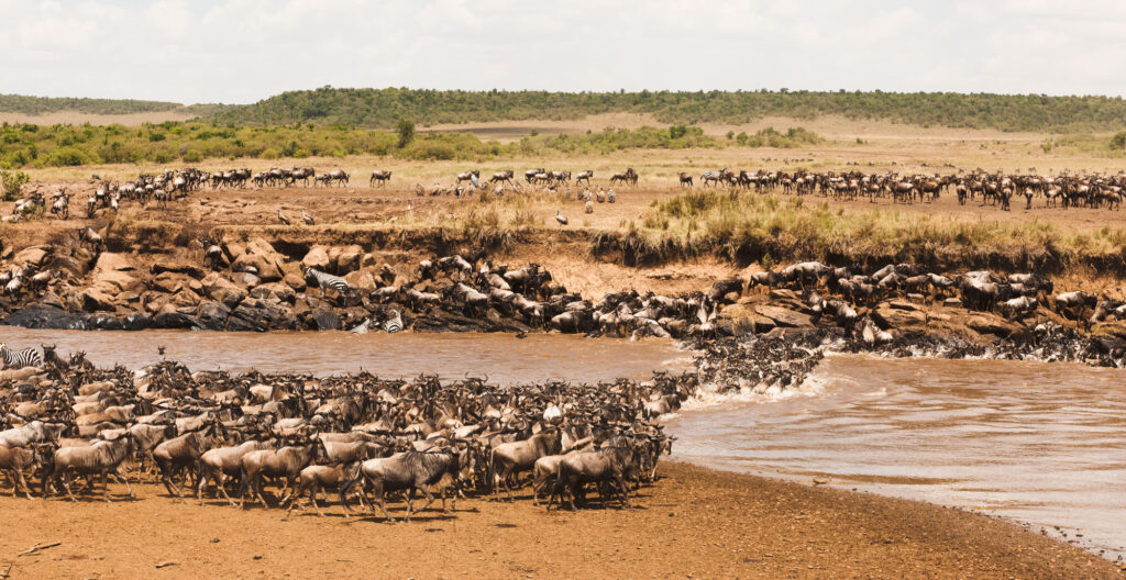 6-Day Best of Great Migration & Ngorongoro Crater Safari