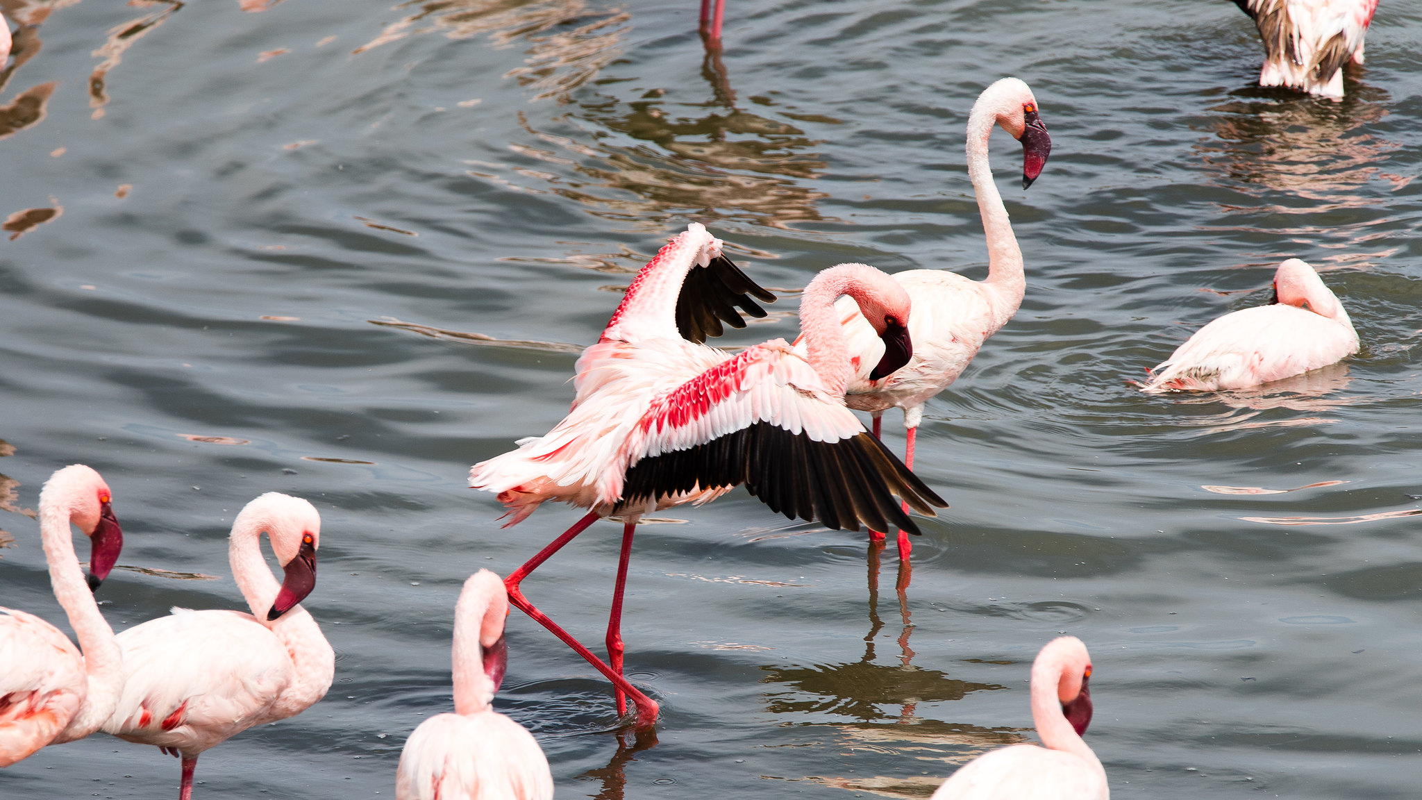 Arusha National Park