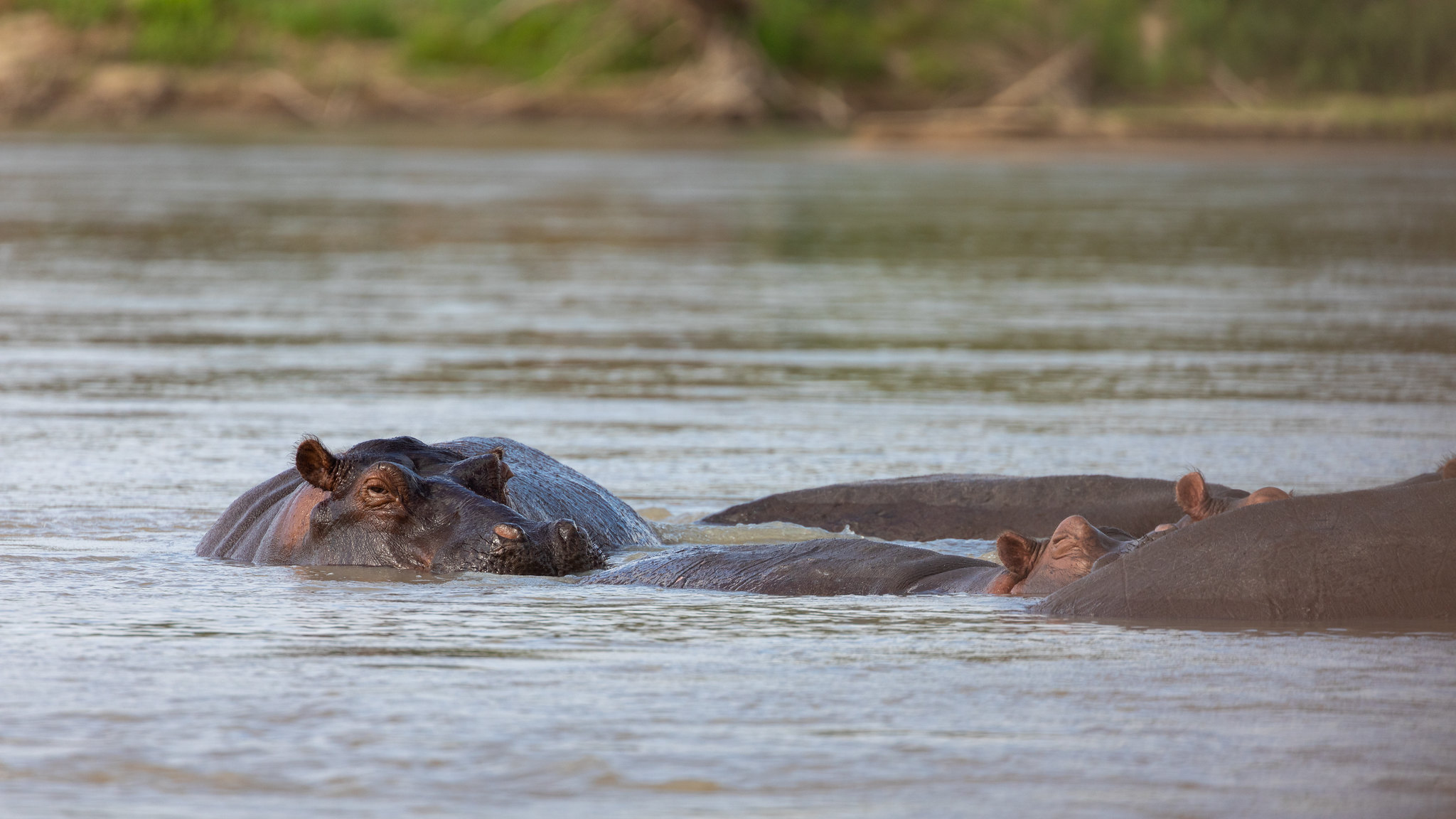 Nyerere National Park