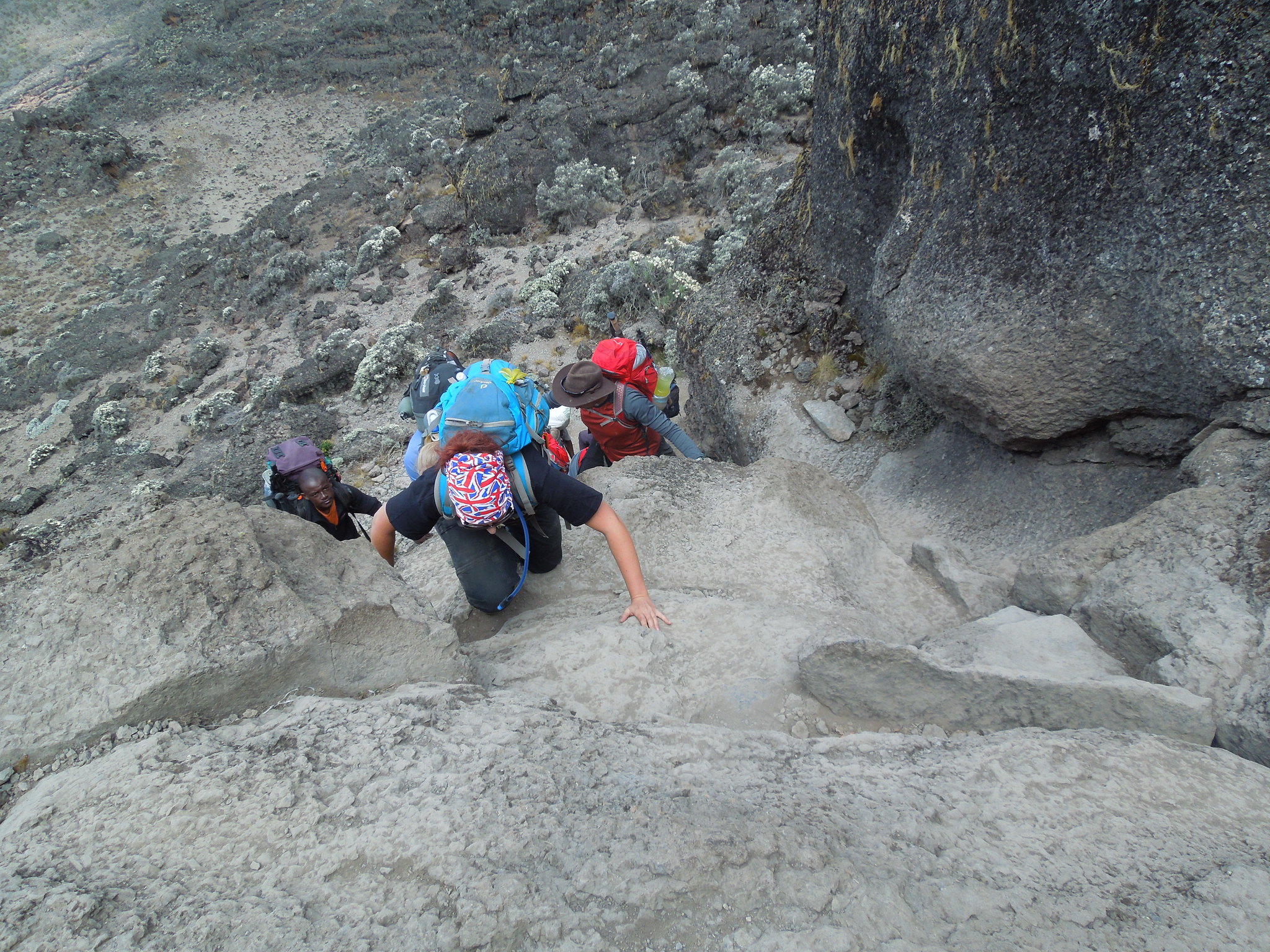 Serene Success Conquer Kilimanjaro on the Lemosho Route, 7 days