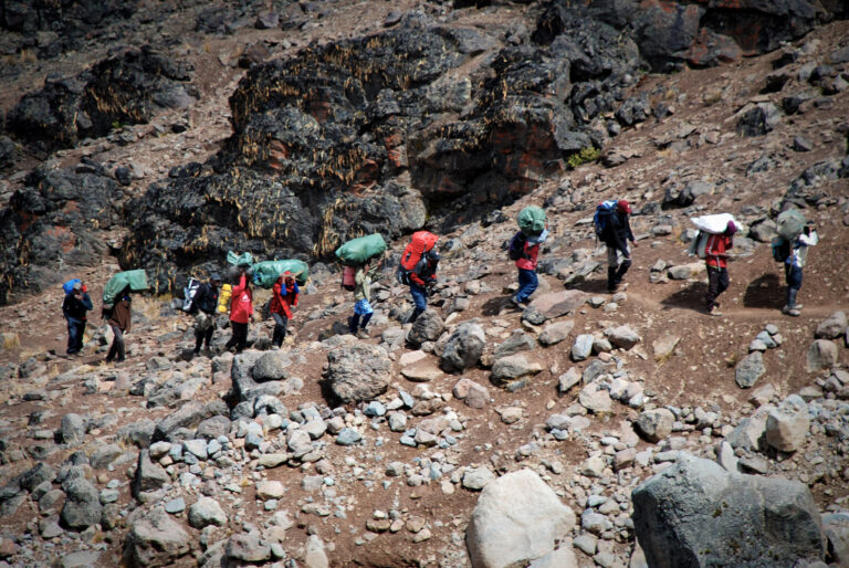 Serene Success Conquer Kilimanjaro on the Lemosho Route, 8 days