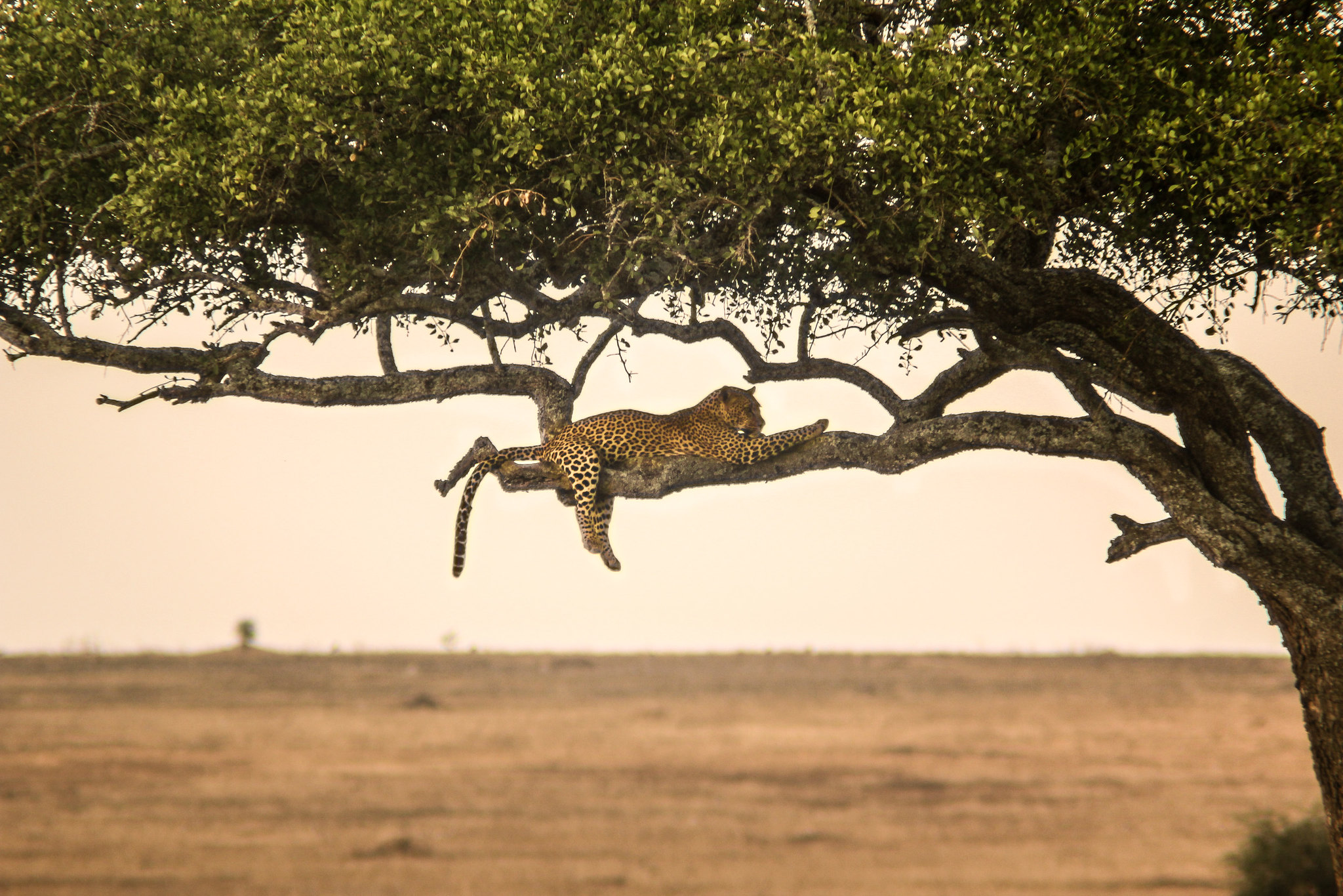 Serengeti National Park