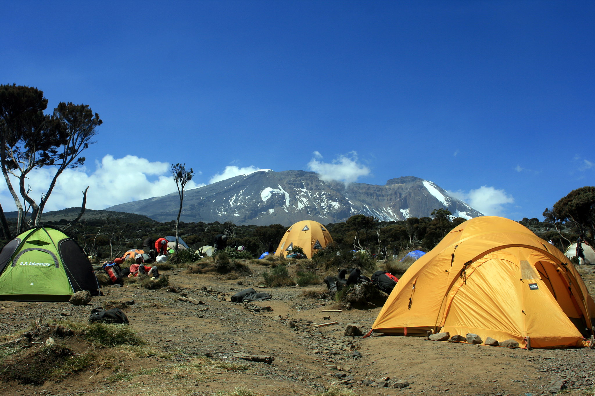 Western Wilderness Conquer Kilimanjaro on the Scenic Shira Route, 8 days