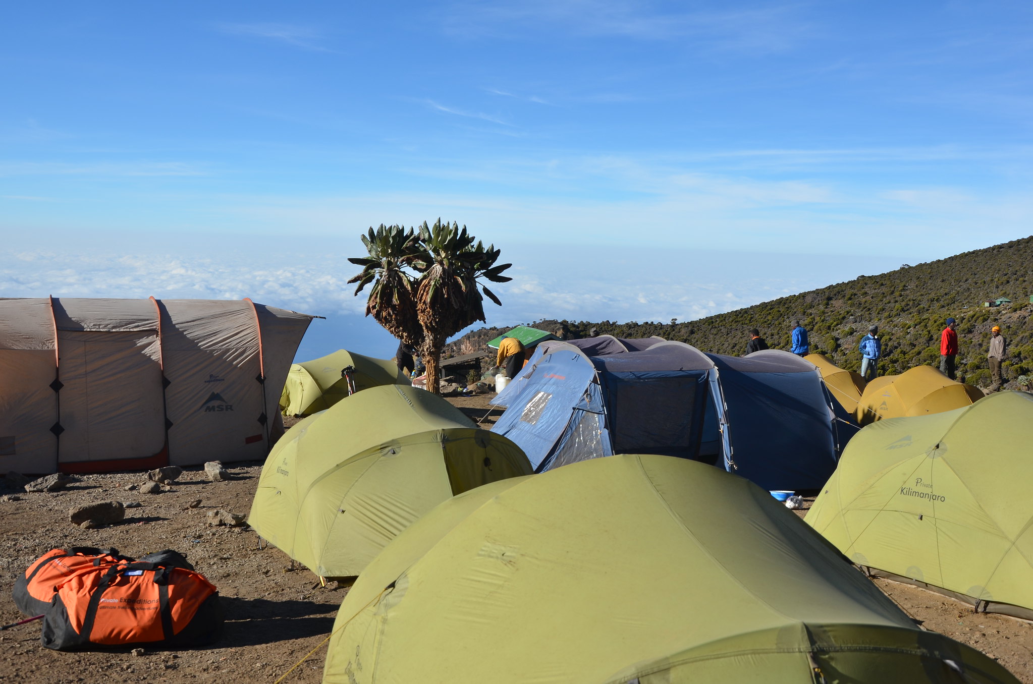 Wilderness Expedition Conquer Kilimanjaro on the Rongai Route, 7 days