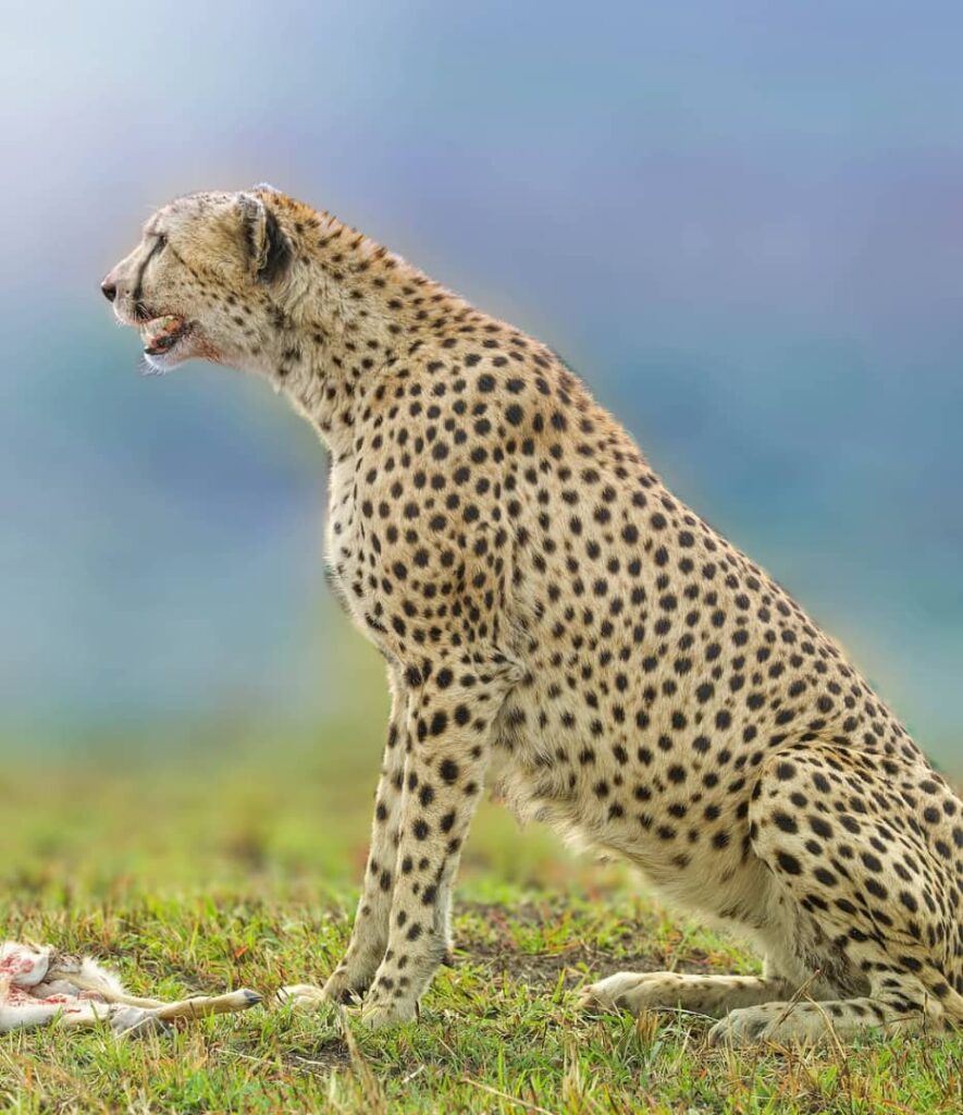 10 Days Tanzania Family Safari and Zanzibar Vacation.